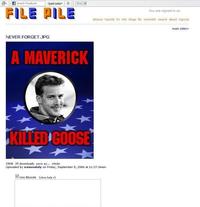 File Pile