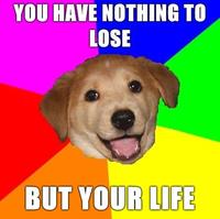 Advice Dog