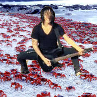 Crabcore