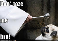 Don't Tase Me Bro