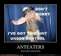 I'm an Anteater!!!