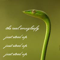 Smugleaf / Snivy