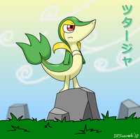Smugleaf / Snivy