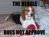X Does Not Approve/ Approves