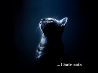 LOLcats