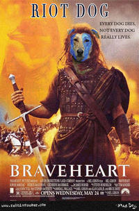 Riot Dog