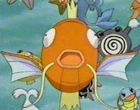 Magikarp