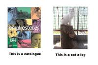 LOLcats