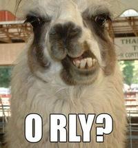 O RLY?