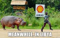 Meanwhile in X
