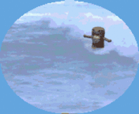 Domo