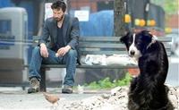 Apathetic-dog-doesnt-care-that-keanu-reeves-9720-1277103058-2