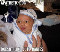 Apathetic-dog-doesnt-like-cute-babies-16773-1276890636-21