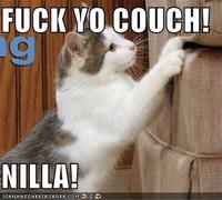 Fuck Yo Couch