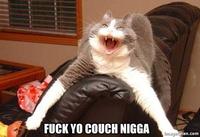 Fuck Yo Couch