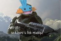 I Herd U Like Mudkips