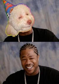 Birthday Dog