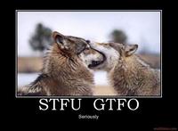 GTFO