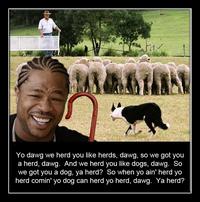 Xzibit Yo Dawg
