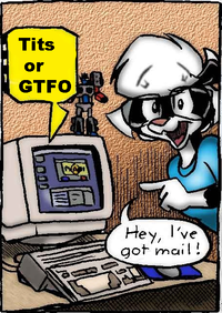 Tits or GTFO