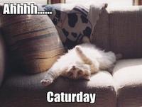 LOLcats