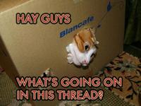 Hey Guys What's Going On This Thread?