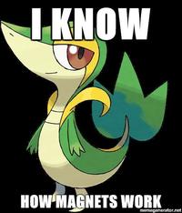 Smugleaf / Snivy