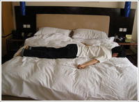 Playing Dead