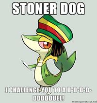 Smugleaf / Snivy