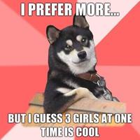 Cool Dog