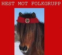 Snel hest