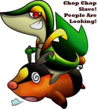 Smugleaf / Snivy