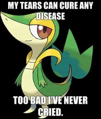 Smugleaf / Snivy