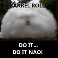 Do A Barrel Roll