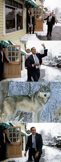 Obama Snowball