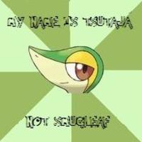 Pokeparents / Pokedads