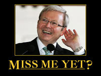 Miss Me Yet?