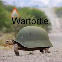 WARTORTLE.jpg