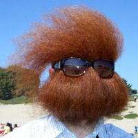 hidininbeard.jpg