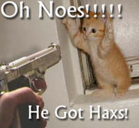 Lol-cats_oh-noes-hacks