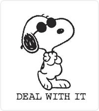 Deal With It
