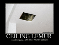 Ceiling Cat