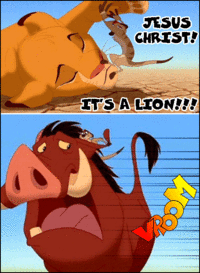 JESUS CHRIST IT'S A LION GET IN THE CAR!