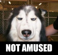 Not_amused