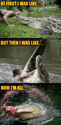 At First I Was Like...