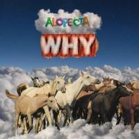 Tony Kornheiser's "Why"