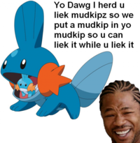 YoDawg-MudkipInYoMudkip-480x492.PNG