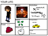 Your Life