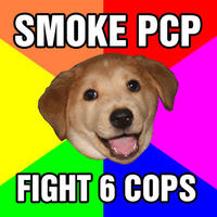 Advice Dog