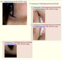 Boxxy
